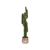 Cactus - Groen - Kunststof - 130 cm