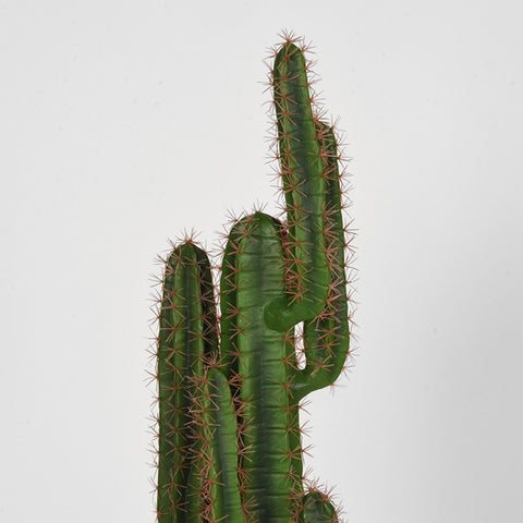 Cactus - Groen - Kunststof - 130 cm