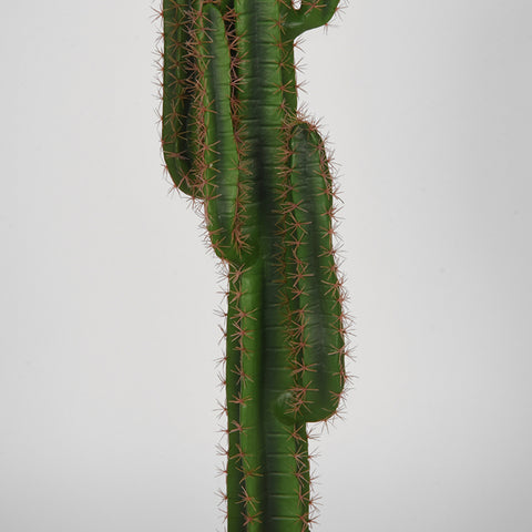 Cactus - Groen - Kunststof - 130 cm