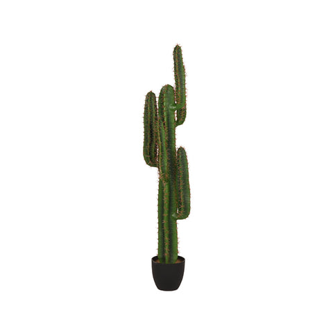 Cactus - Groen - Kunststof - 130 cm